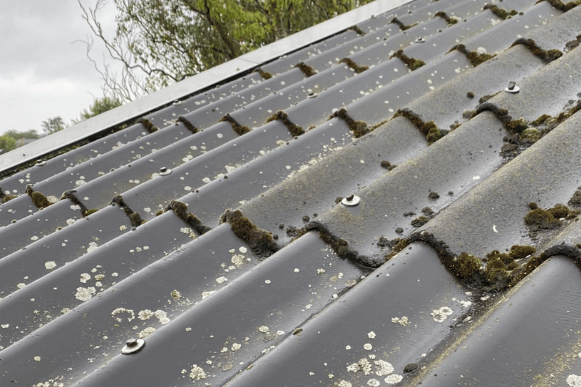 Nye regler for asbest – hvad betyder det for dig?