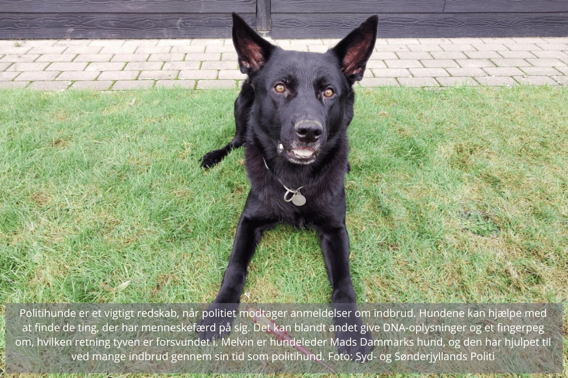 Færre indbrud i Syd- og Sønderjylland i årets juleferie