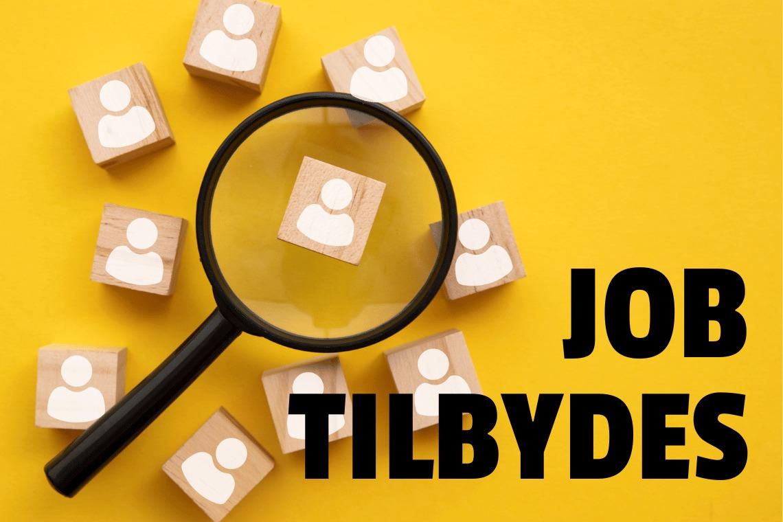 Spotdiscount søger salgsassistent og servicemedarbejder