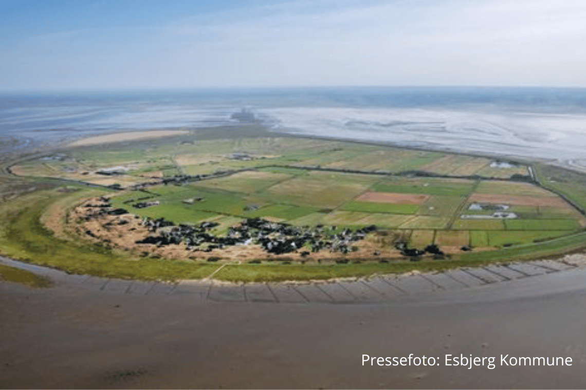 International anerkendelse af buldermørket på Mandø