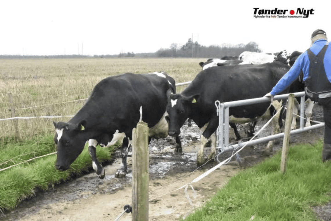 Tilmeldingen til Økodag er åben