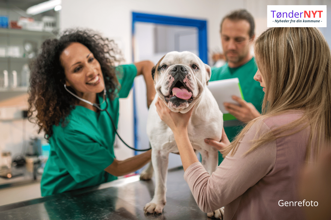 Fødevarestyrelsen tager på kontrolbesøg hos dyrlæger