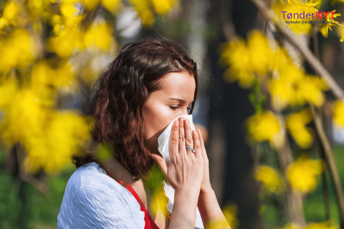 Pollensæsonens skjulte fjende: Udtalt træthed rammer mange allergikere