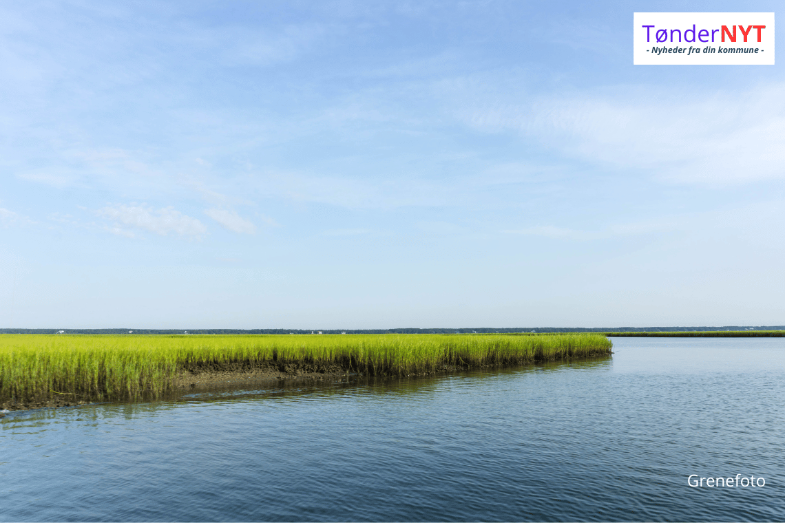 Ny aftale skal markant reducere kvælstofudledning i fjorde