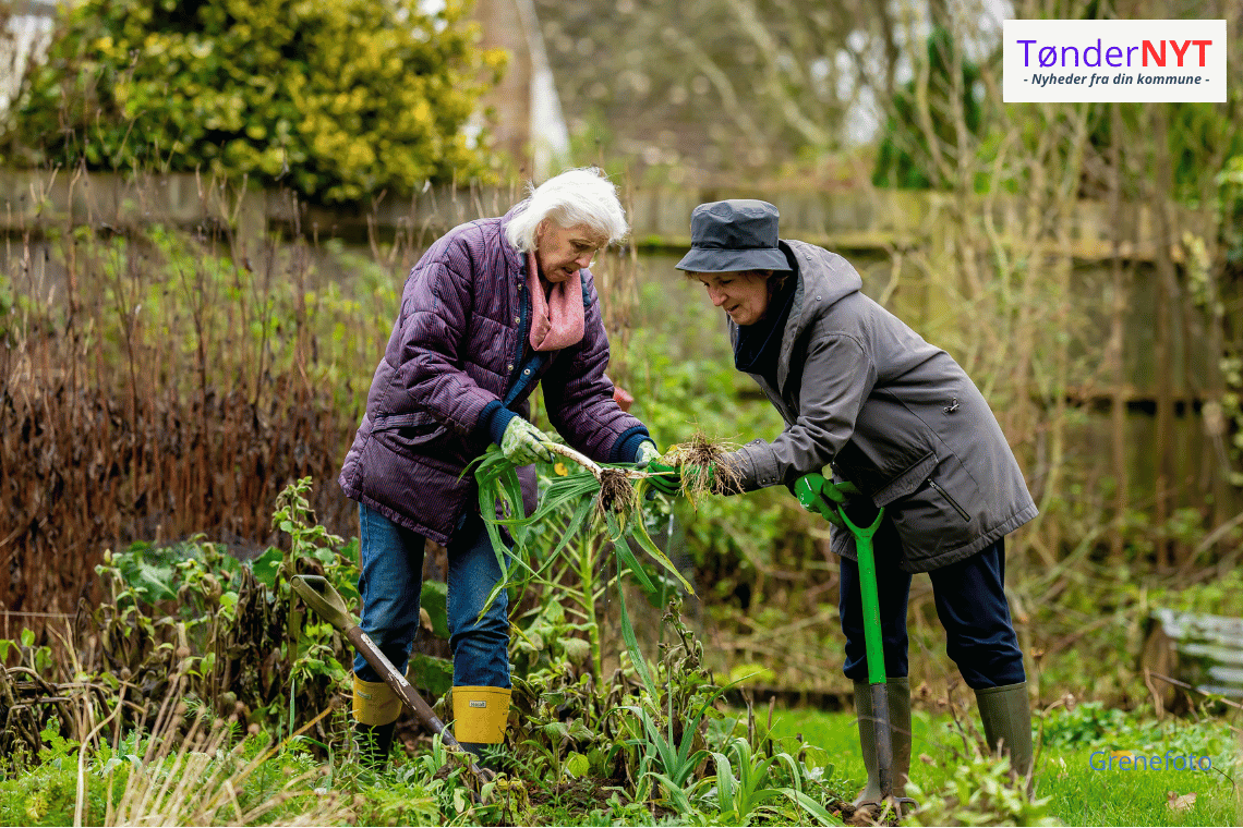 Grønne aktiviteter i Sønderjylland: åben havedag, fuglekasser og klima-råd