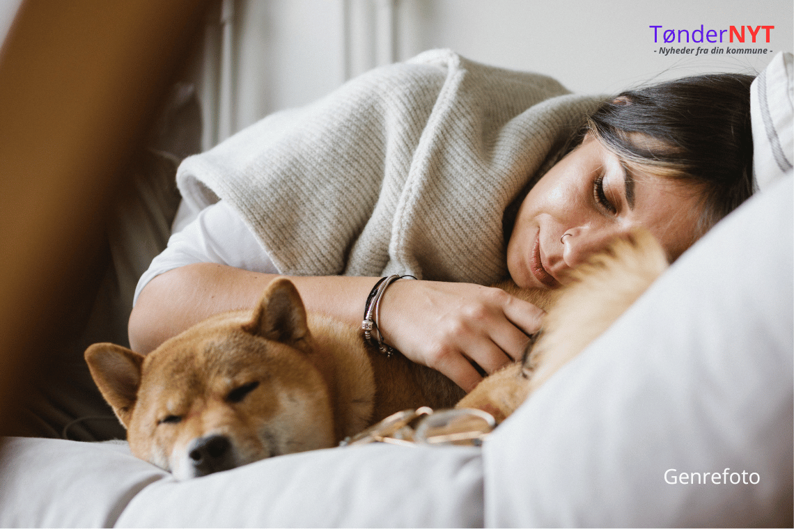 Flere unge danskere vælger kæledyr frem for børn