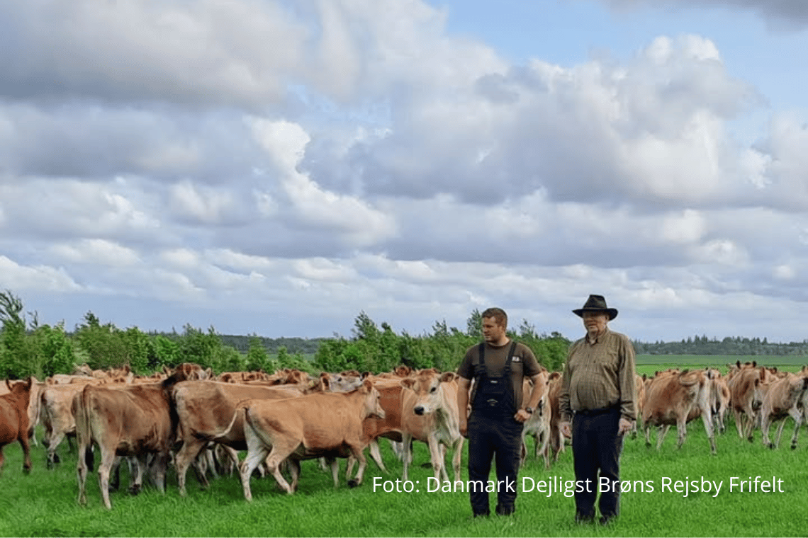 Køer som sponsorer? Jo, den er god nok!