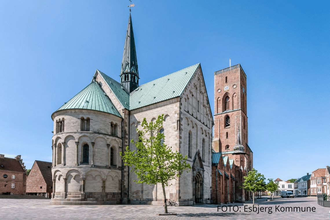 Ny lyskunst skal fremhæve Ribe Domkirkes særlige skønhed