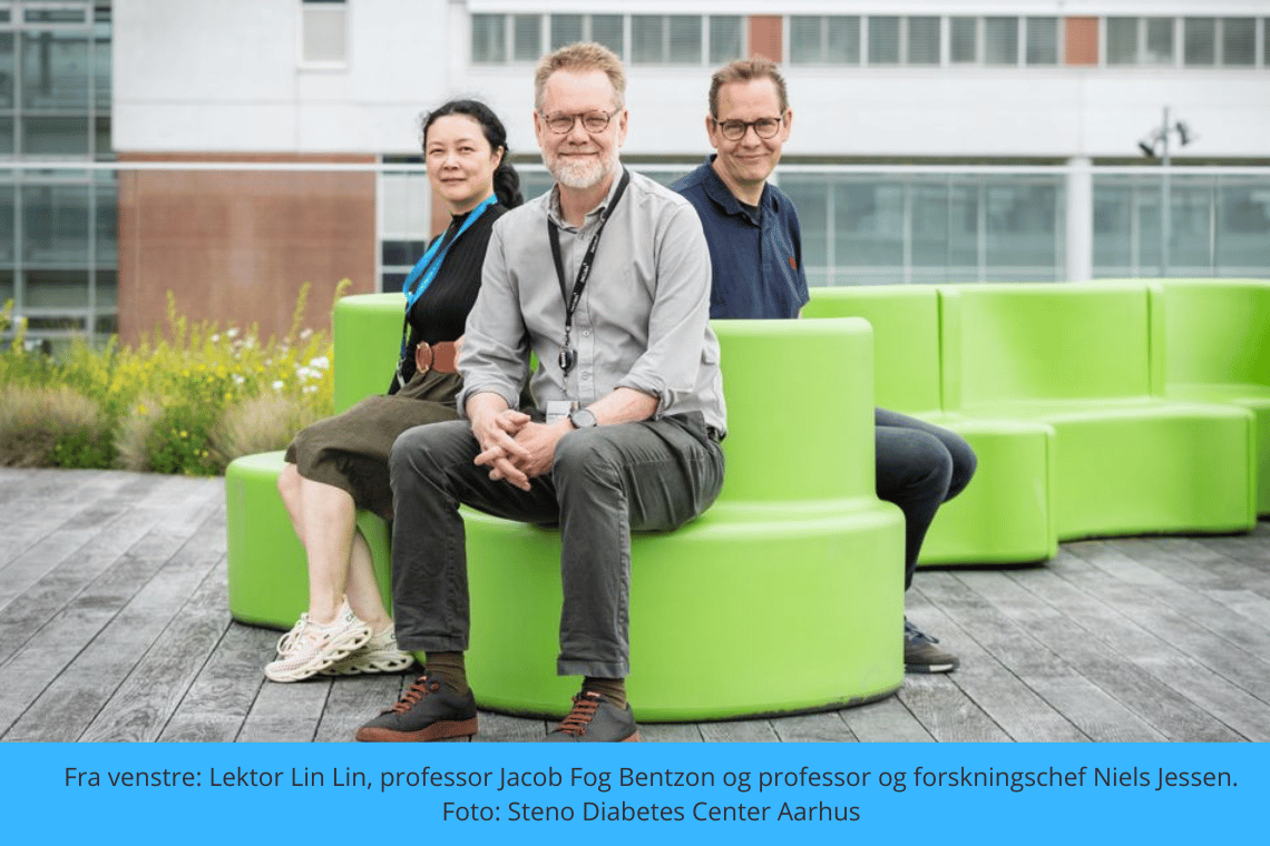 50 millioner kroner til fedtforskning: Ny indsats mod hjertekarsygdom