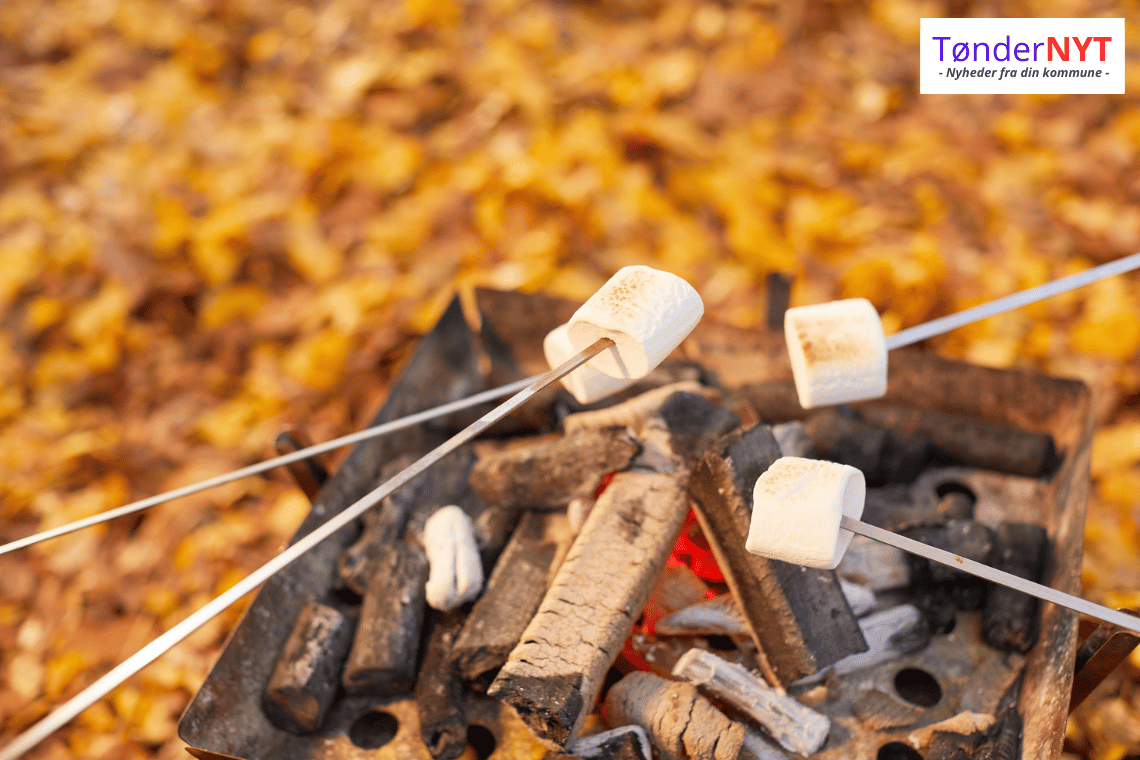 To landsbyer fra Sønderjylland i finalen om Årets Landsby 2025