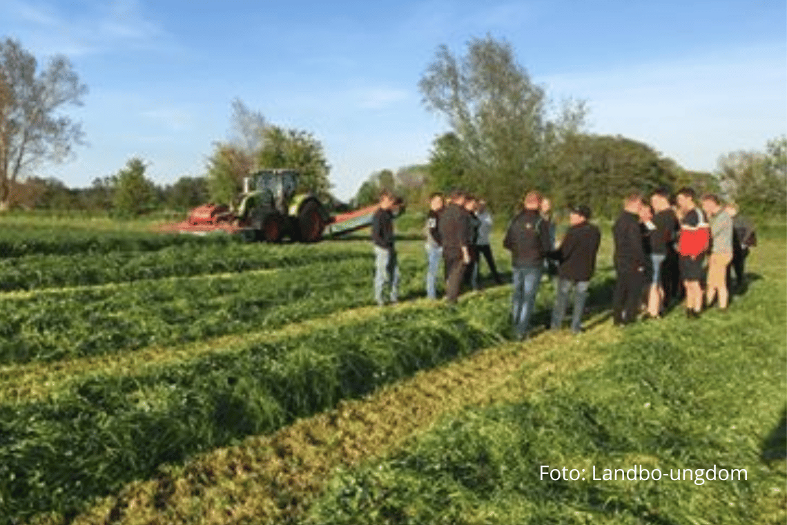 Unge i Tønder og omegn trives på landet: Natur, fællesskab og frivillighed trækker