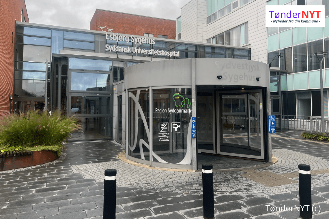 Region Syddanmark omfavner Solsikkesnoren