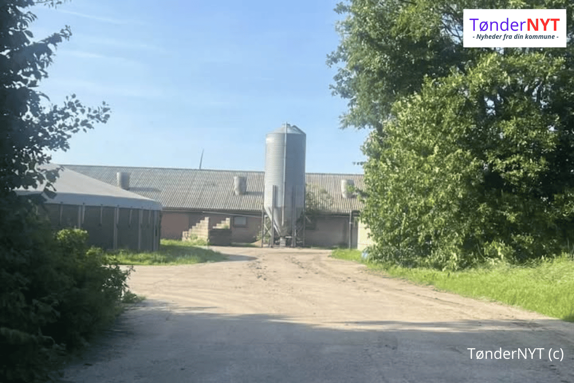 Borgmesterens landbrug politianmeldt adskillige gange for grove overtrædelser