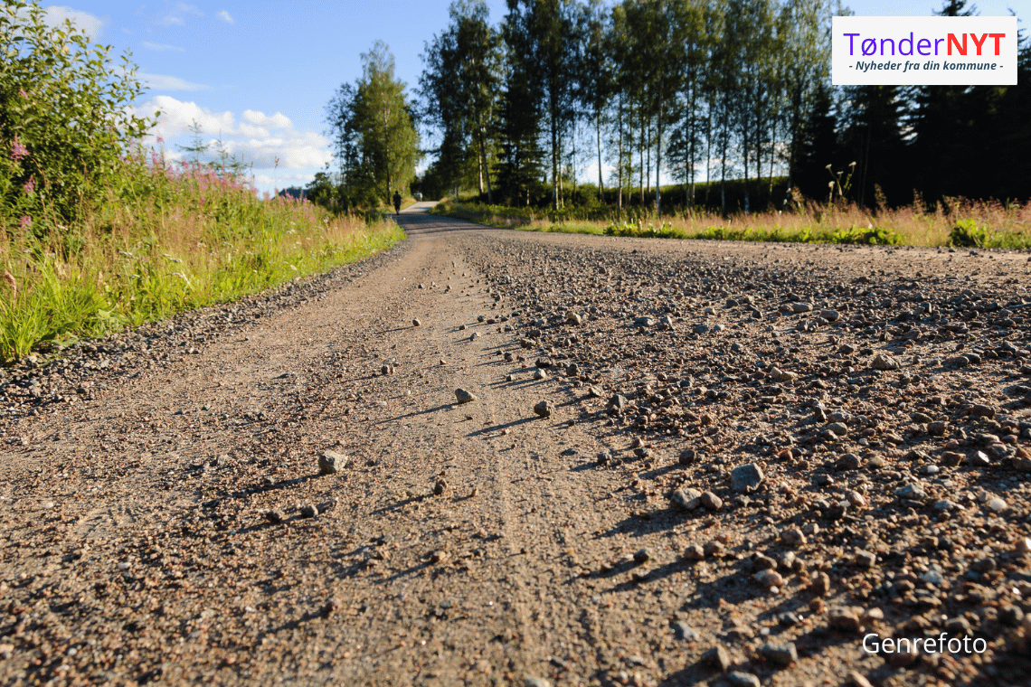 Markvejstur på Ballum Hede sætter fokus på solcelleplaner
