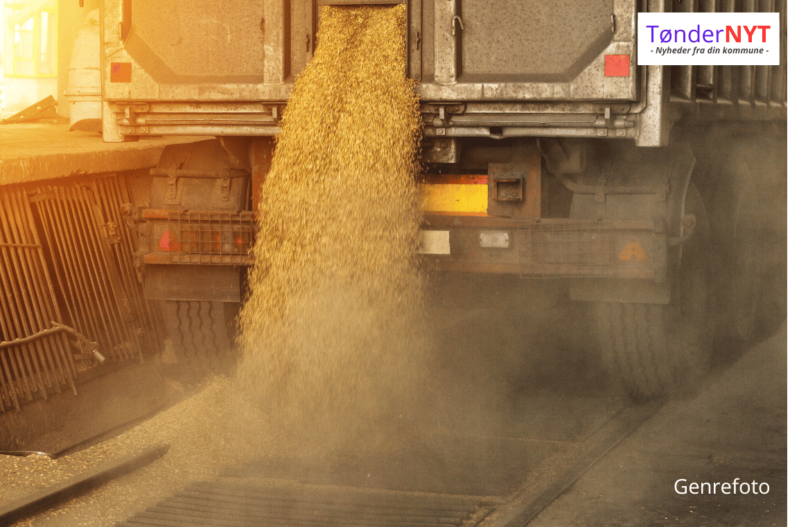 Fødevarestyrelsen slår alarm: 50.000 tons korn beslaglagt hos Danish Agro efter fund af rotter og skimmel