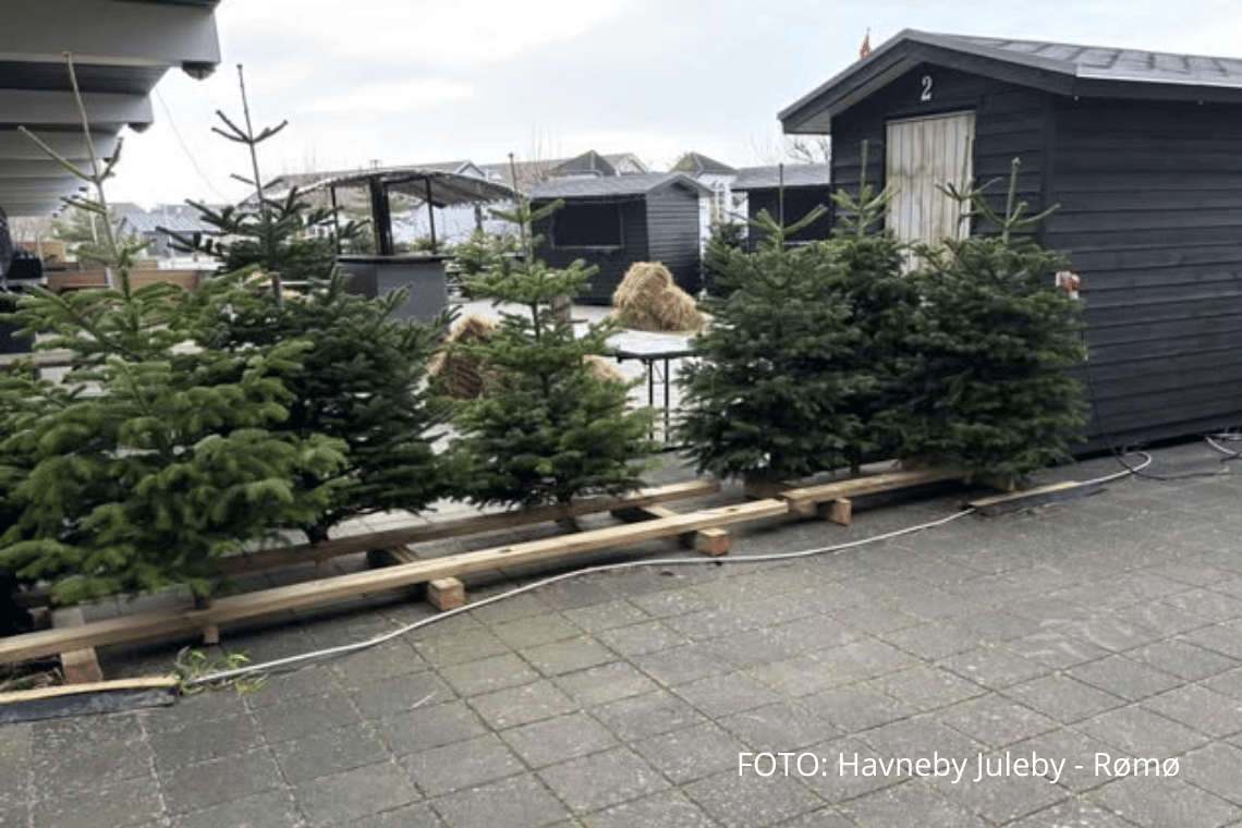 Tyveri i julebyen: Julemarked i Havneby ramt af uventet gæst