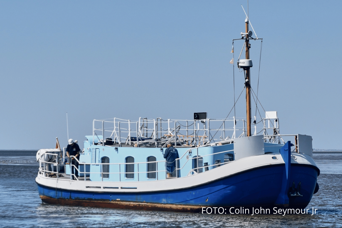 Nationalparkskibet får nyt liv i Esbjerg: M/S Alice bliver Vadehavets nye maritime fyrtårn